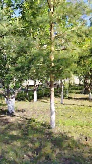 короли ночной вероны смотреть онлайн