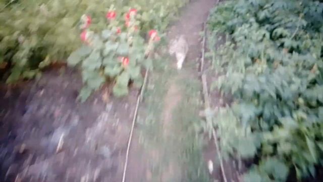 Подарите Мне Праздник//Помогите смотреть онлайн