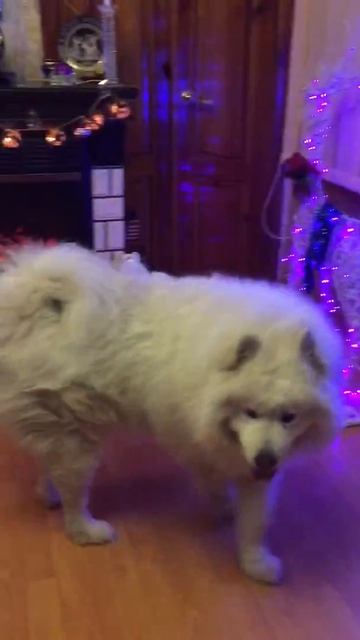 Новый год с Микки смотреть онлайн