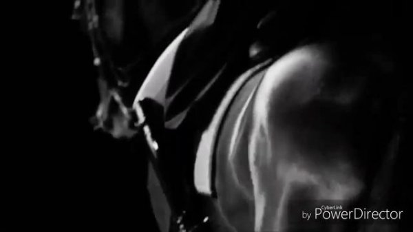 Клип конный спорт