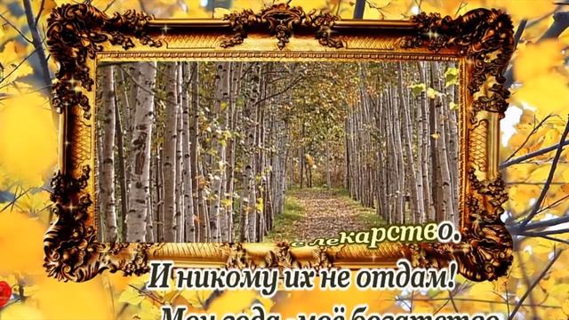 В. Кикабидзе- Мои года- караоке