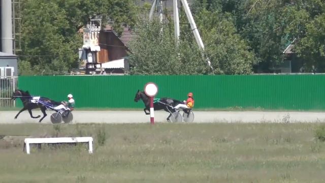 13.06.2020г. рыс 4-х лет 1600м. смотреть онлайн