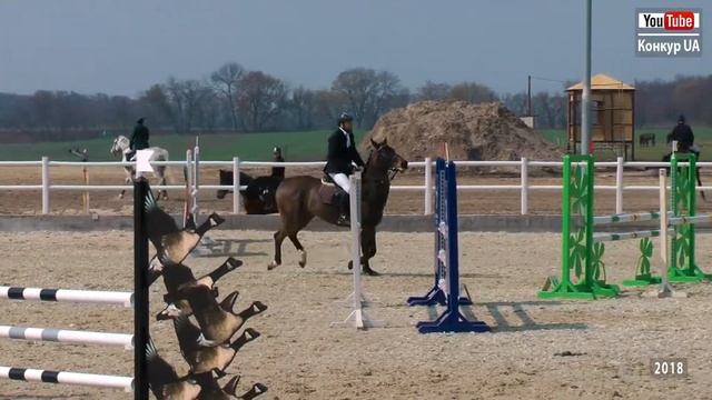 Луиза PKZ. Крамаренко Максим. 100-110 см. Конкур в Днепре. КСК "Klimenko Stable". 13.04.2018 г. смотреть онлайн
