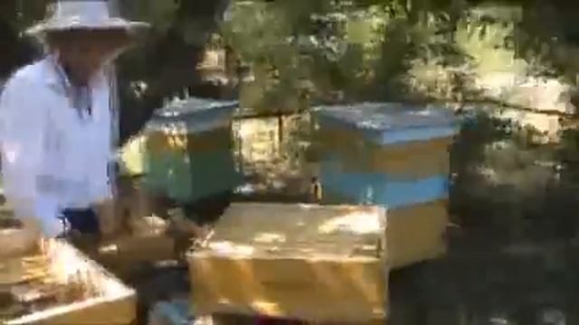 Откачка меда смотреть онлайн