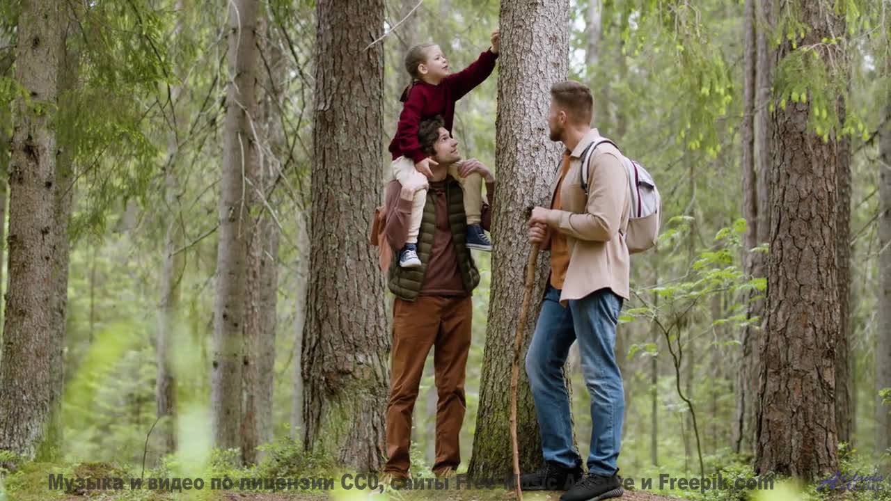 Трек, который изменит взгляд на природу - Bubbles -- Ketsa -- Metaphysics