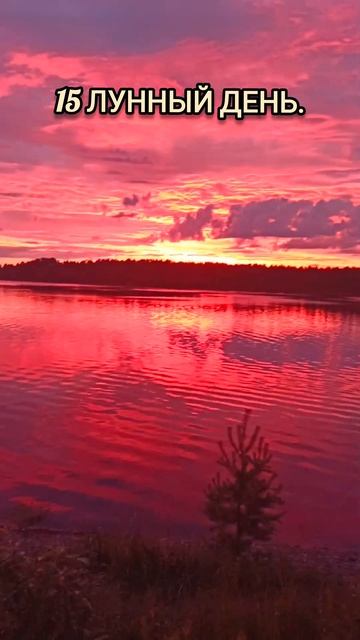 Энергия сегодня #лунныйденьсегодня #луна #лунныйкален смотреть онлайн