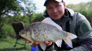 Рыбалка на поплавок, карась тут обитает, и не только



#рыбалка #рыбалканакарася #природаиотдых