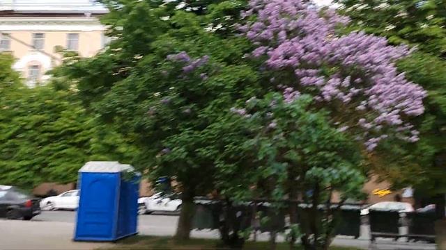 Элементы Йошкар-Олы в Калуге