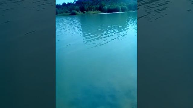 Тишь и благодать...