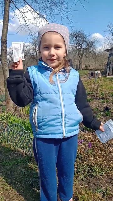 Посадка зелёного лука на перо #деревенскаяжизнь #дере? смотреть онлайн