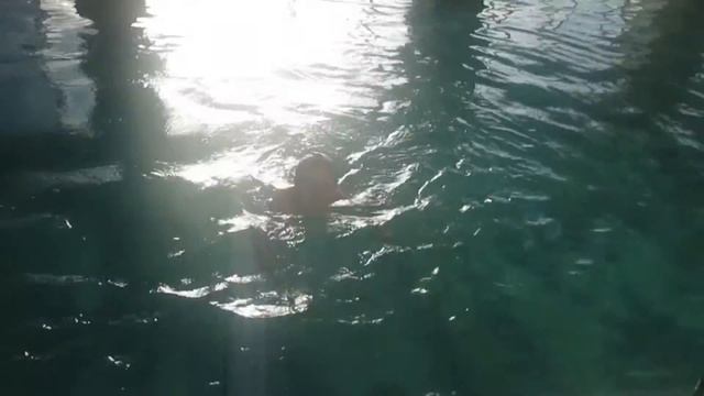 Воскресное Утро в Бассейне смотреть онлайн