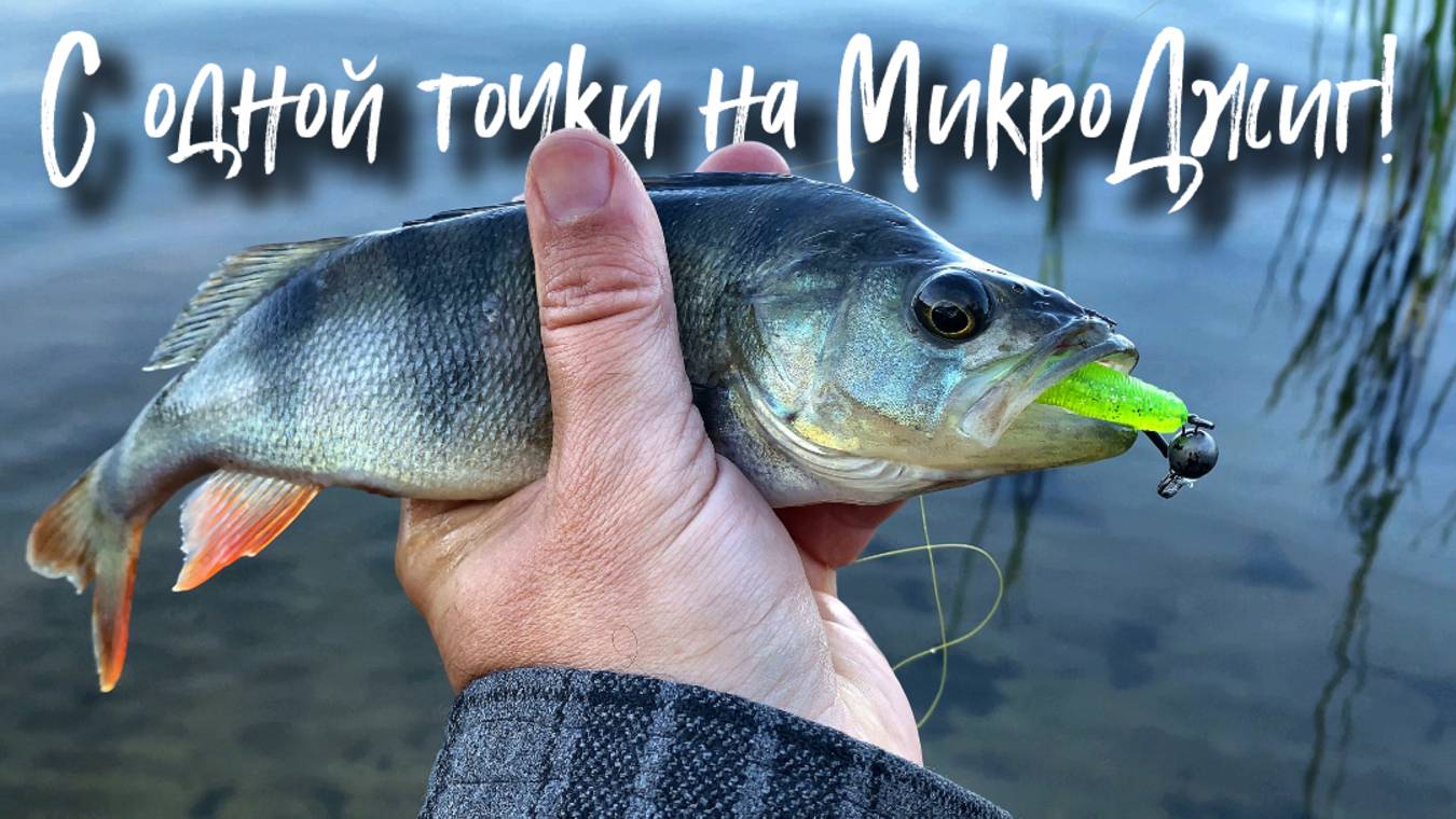🔴 Весенний Окунь рвет резину! Все поклевки с одного места на микроджиг!🔥🔥🔥 смотреть онлайн