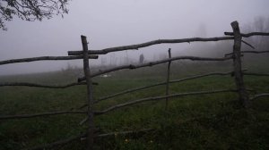 Kənd Həyatı.  Изумительные десерты без САХАРА и МУКИ с сухофруктами