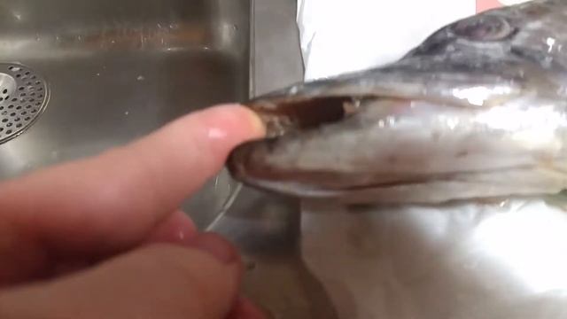 Щука с икрой смотреть онлайн