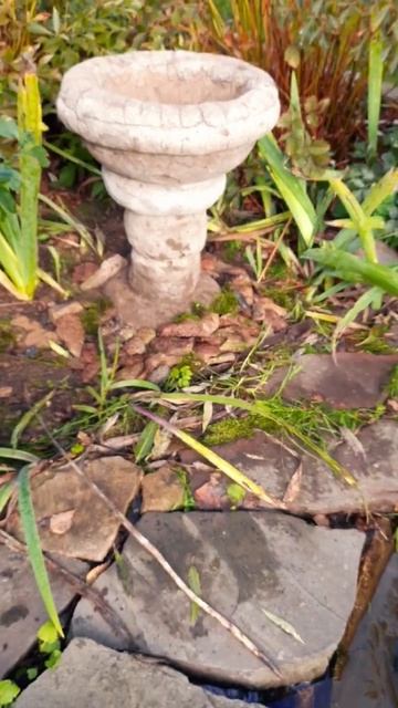 Ваза из гипертуфа и цемента смотреть онлайн