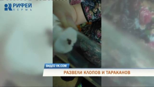 Телевизионная служба новостей (28 января) смотреть онлайн