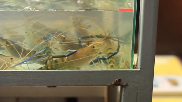 Летний режим: Другой Хип-хоп в отпуске смотреть онлайн