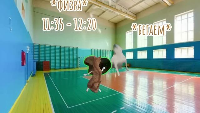 Мой обычный понедельник #коты #мемныекоты смотреть онлайн