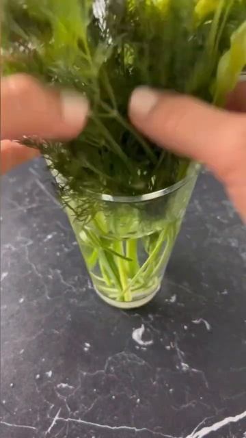 Как хранить зелень в холодильнике ☘️ #short #shorts #hack #lifehac