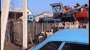 Свадьба. День 2. Купание родителей в грязи. Часть 1