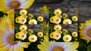 Улетают года # христианская песня