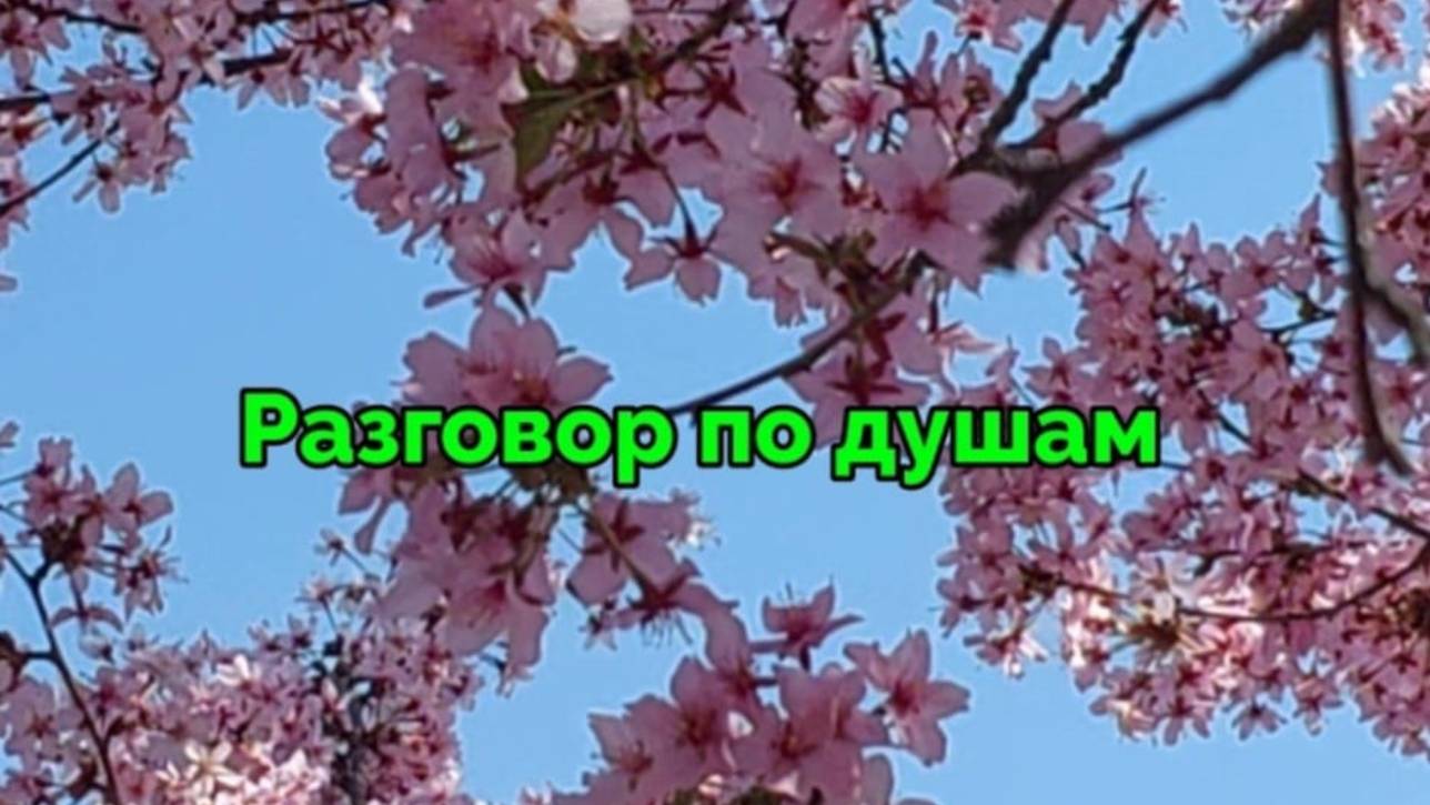 Разговор по душам.      В.Рих.