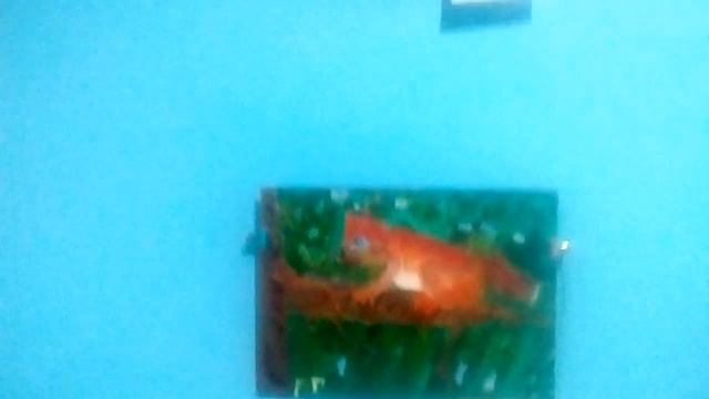 Выставка "Мир глазами детей", июнь 2018г смотреть онлайн