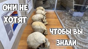 Тайна вытянутых черепов. Как историки скрыли целую расу?