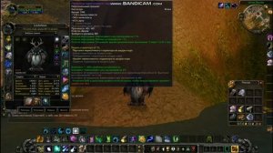 Гайд на сову пвп  вов 3.3.5а