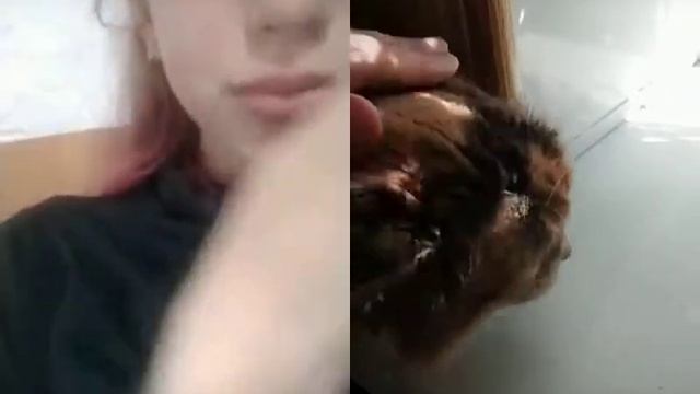 29 августа 2019 г.