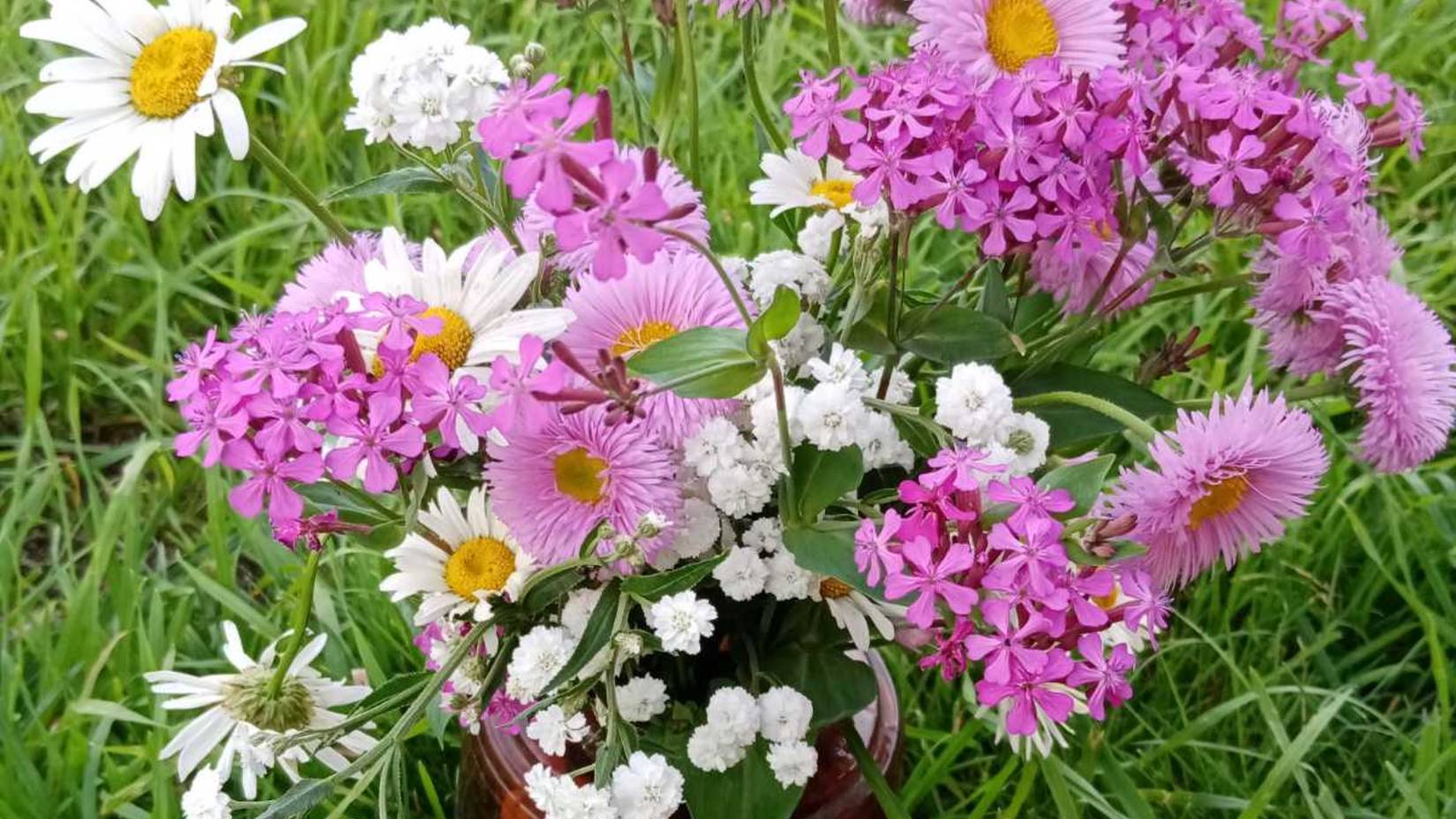 2045.  А когда в теплице жарища,что делать?ВПЛ.