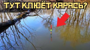 ЗАКИНУЛ в БОБРОВУЮ ПРОТОКУ и повело поплавок! Это карась?! Рыбалка в мае 2025