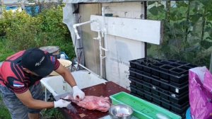 Как я почистил красного окуня