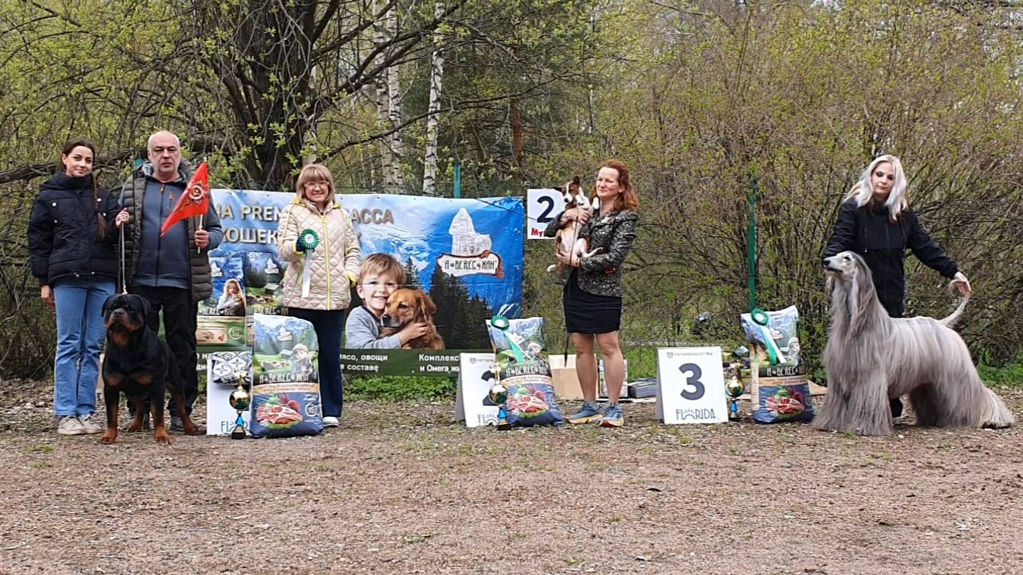 10.05.2025, СПб. Клуб "ФСПС" (РКФ, РФСС). Выставка собак всех пород "МАЙ-ШОУ" (САС, ЧРКФ) смотреть онлайн