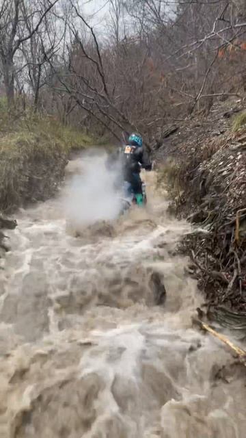 Это хард эндуро🔥#ктм #хардэндуро #мото #экстрим #enduro #exc300 #хард #tpi300 #мото #husqvarna смотреть онлайн