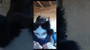 как сделать длинные уши маски для квадробики//мне лень делать обложку