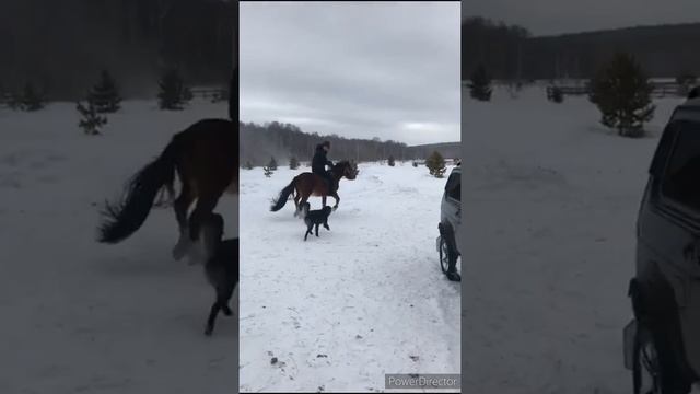 Идель Нургалин смотреть онлайн