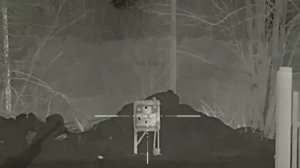 пристрелка и тест мишени для тепловизора