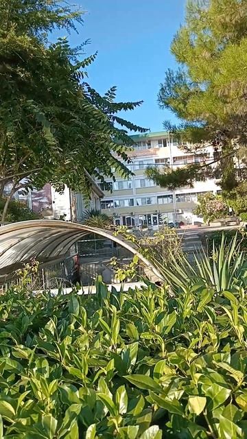 Marine boarding house. Морской пансионат. смотреть онлайн