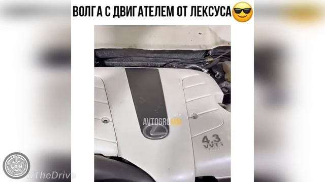 Автоприколы. Авто юмор. Приколы на дороге. Чудаки, хамы, неадекваты. Подборка февраль 2022 #177 смотреть онлайн
