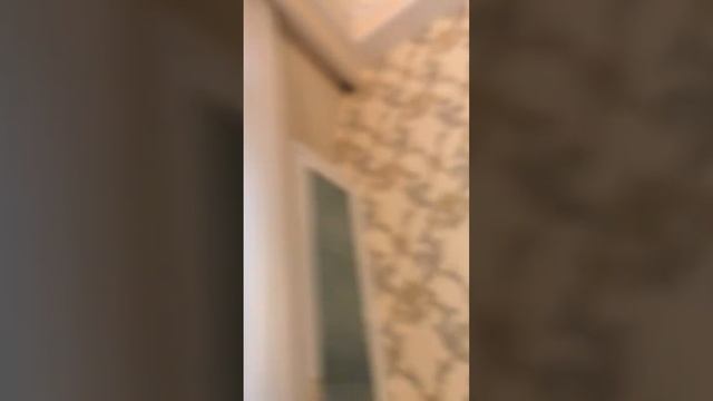 29 апреля 2025 г.