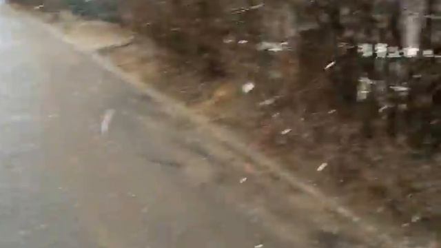 Снежок 31 марта