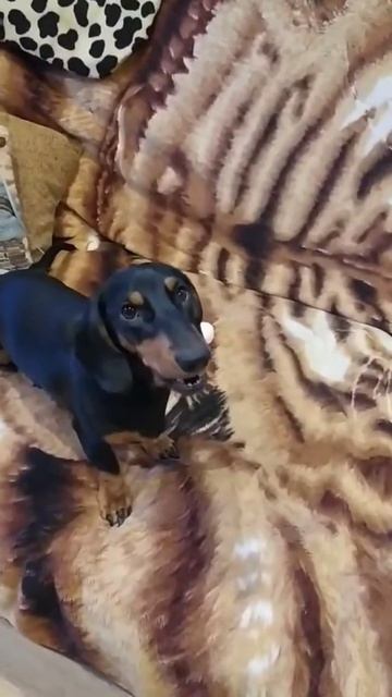 Ну же, возьми телефон! смотреть онлайн