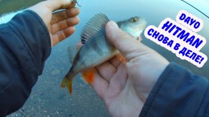 Нано дроп-шот на Dayo Hitman.