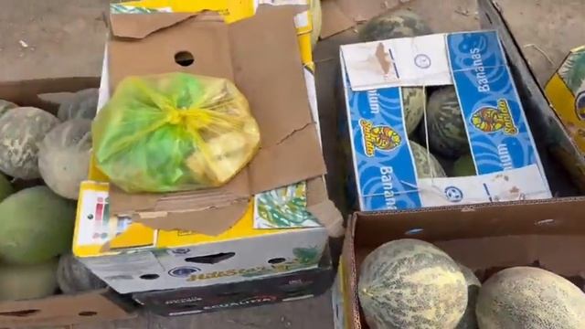 Атырауга Гурбек қауын келди 🤩😋 Дина базарда #каракалпакстан #нукус #2023 #каракалпак #shorts #1k смотреть онлайн