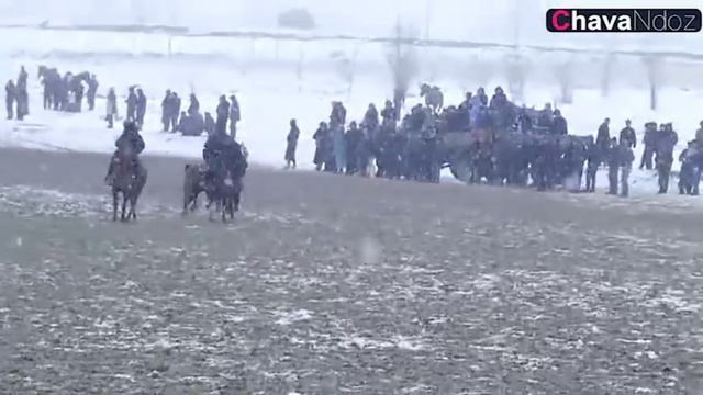 11 01 2020 G'oyib ota Qishlog'idan Xasanboy aka смотреть онлайн