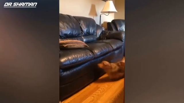 ПРИКОЛЫ 2017 ДЛЯ ГЛУХИХ И слабо -слышащих смотреть онлайн