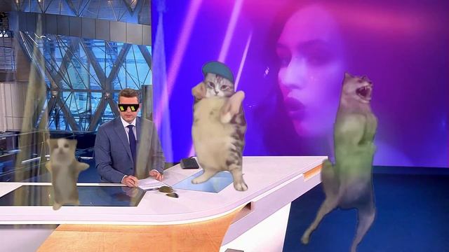 ЗВЕЗДНАЯ ТУСОВКА! Волк ихвильнихт, хапик и другие селебы ютуба зажигают. Треш! 🔥 смотреть онлайн