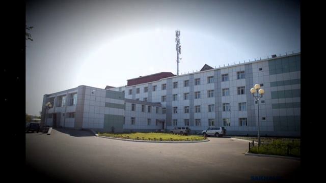 #Поменяйтесадовника. Охинцы запустили челлендж