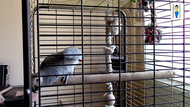 Не може бути смотреть онлайн